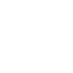 The Metropolitan Museum logo